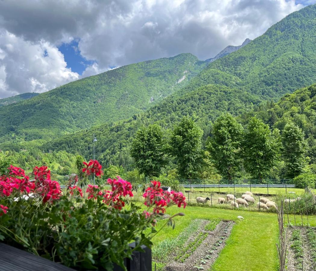 Residenza La Ciasa Aparthotel Claut Exterior foto